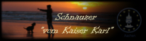 banner_vom_kaiser_karl.jpg